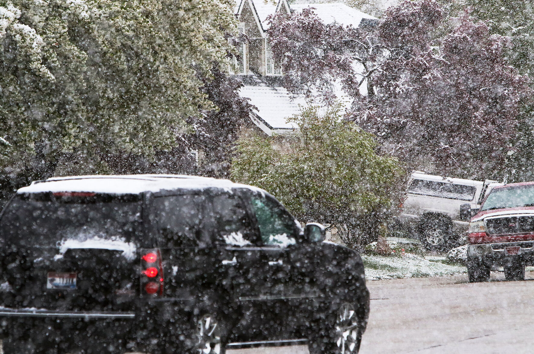 Spring Snow Day